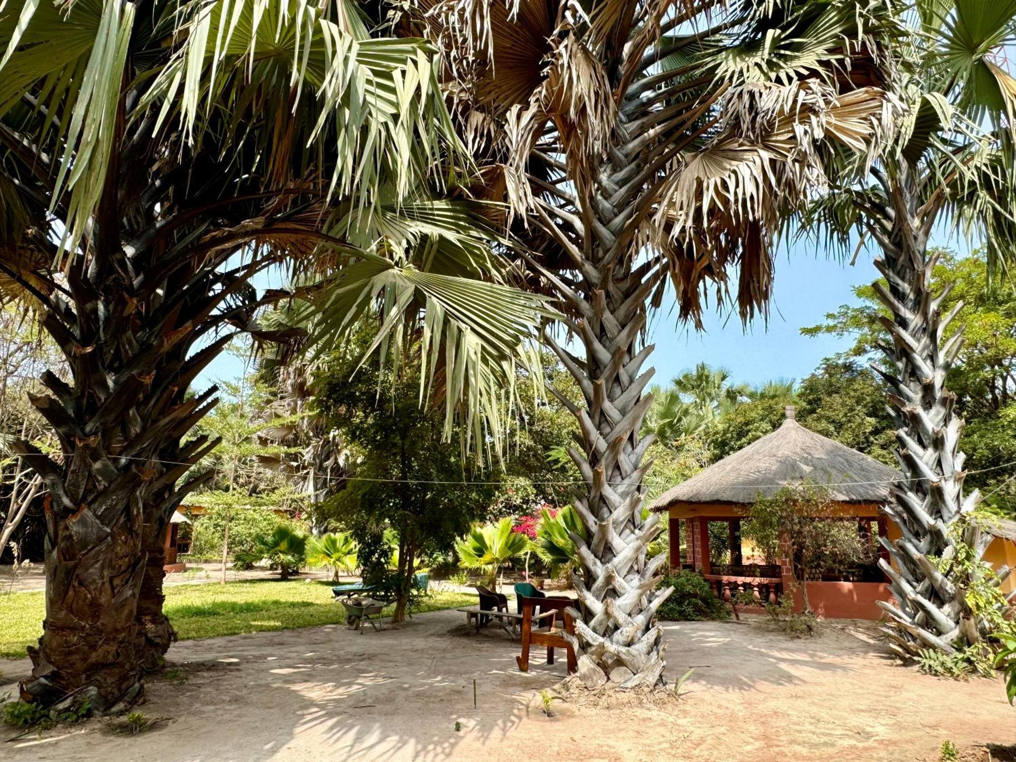 Little'S Nature Retreat Kartong Экстерьер фото